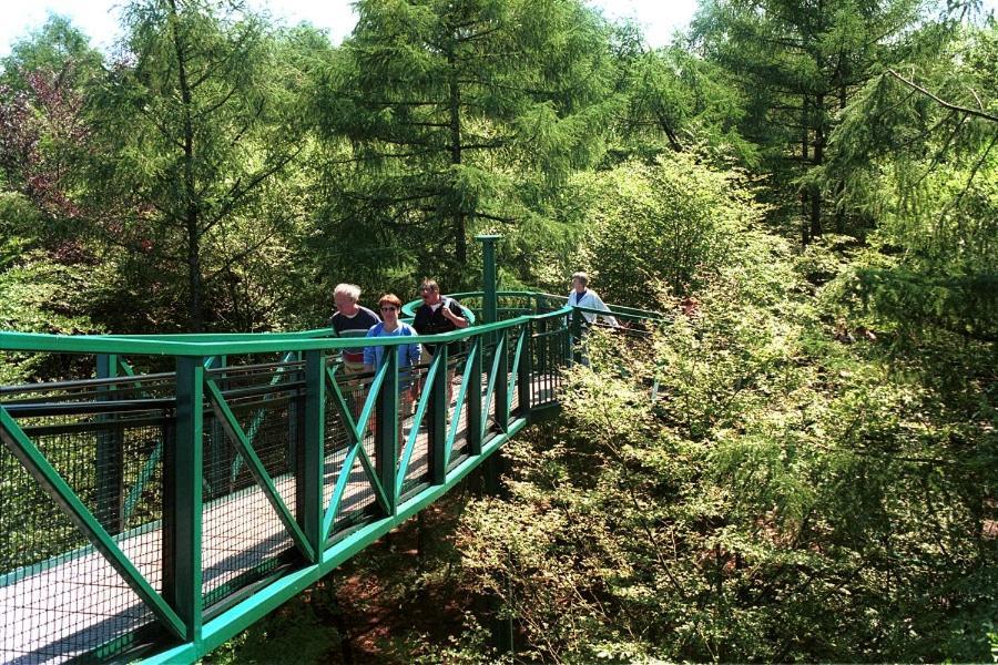 Chalet 15 "De Tien Heugten" Vakantiepark Schoonloo エクステリア 写真